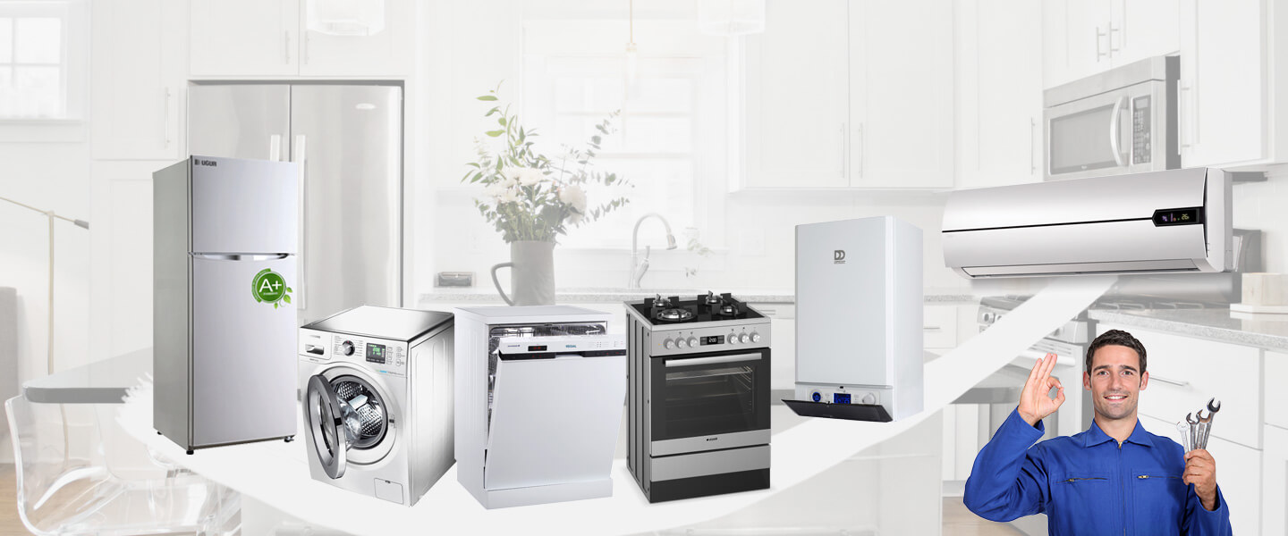 Buharkent Windsor Servisi